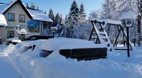 Hotel-Pension Rennsteighütte Frauenwald - Image 4
