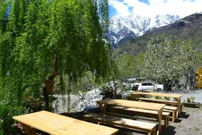 The Cider - Image 5