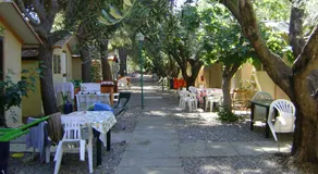 Camping Dell'Uva - Image 4