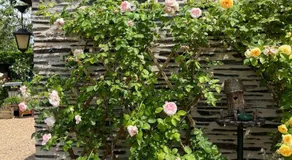 Le Logis du pic vert - Image 3