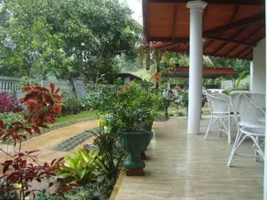 Hanthana Jungle View Holiday Home - Image 4