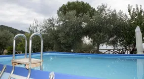 Appartamento degli Ulivi 2 - Image 4