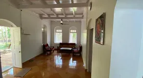 Arecapalm, Murud - Image 3