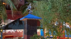 Riad Dades Birds - Image 3