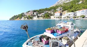 zorana - Image 5