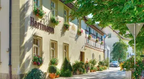 Brauereigasthof Hartmann - Erbschänk seit 1550 - Image 4