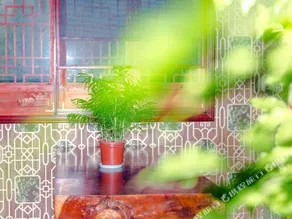 Zuiyang Tianjie Hotel - Image 3