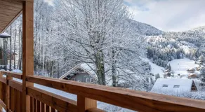 Chalet Limanosa - OVO Network - Image 5