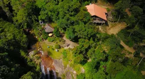 Chales Bamboo Jungle - Image 4