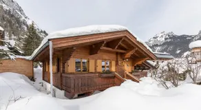 Alpen-Chalets Achensee - Image 3