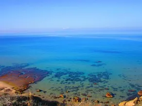 La Ferula Blu - Image 1