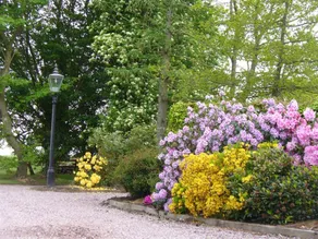 New Hall Farm - Image 4