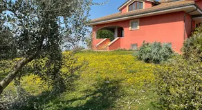 Belle Marche - Image 3