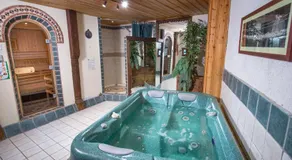 Au Coeur Des Alpes - Image 3