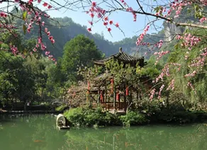 Times Grand Hotel (Youyang Taohuayuan Branch) - Image 5