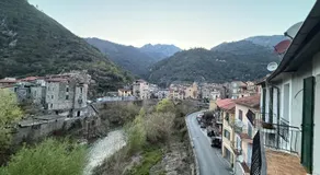 Torri Amori - Image 4