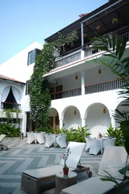 Bougainvillea - Image 5
