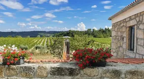 Quinta da Corga - Image 5