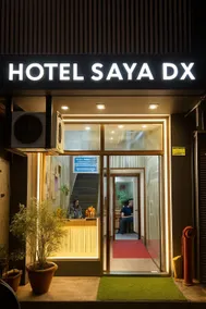 Hotel Saya Dx Walk in From RK Ashram Metro Station - Image 4