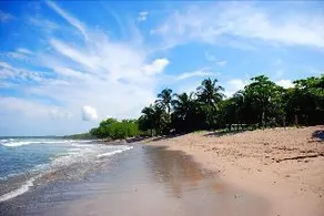 Cafe Playa Negra - Image 4