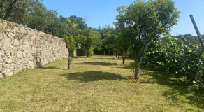 Quinta do Vale Vaqueiro - Image 4