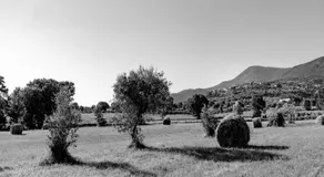 B&B Vico Suites - Image 5