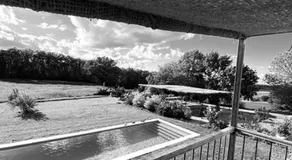 Maison Drôles d'Oiseaux - Image 3