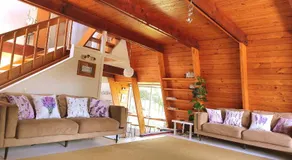 Reasons Eco Lodge the Wooden A Frame in Hamilton - Image 2