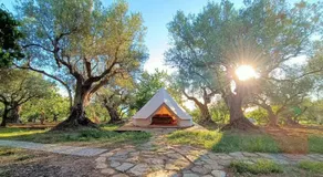 Golden Camp - Image 4