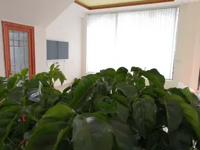 Wugu Zaliang Hotel - Image 3