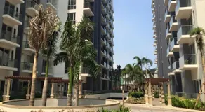 One Palm Tree Condo - Image 4