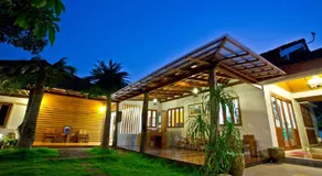 Tree Home Plus - Image 5