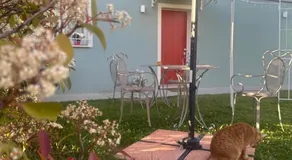Parrot House - Image 5
