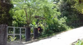 Casa das Árvores - Image 2