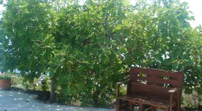 Casa Los Volcanes - Image 5