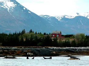 4 star holiday home in Fjørtoft - Image 5