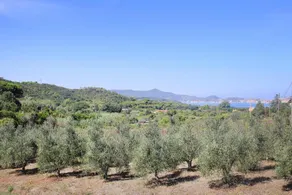 Holiday Home in Magazzini near the Beach - Image 5