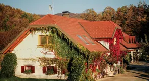 Gracarjeva domačija - Image 3