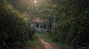 Eco Finca los Loros - Image 5
