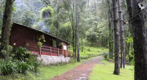 Cabañas Alpinas López Fontes - Image 5