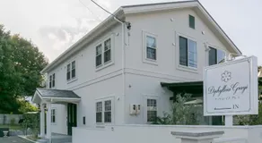 Guest House Diphylleia Grayi - Image 3