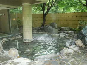 Hotel Yunojin - Image 3