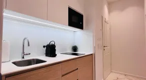 Zeus Design Apartment Schlosspark Schonbrunn - Image 4