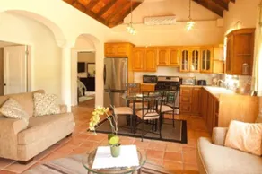 Coconut Tree Villa - Image 2