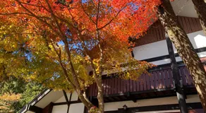 Tanigawa Valley Lodge & Coffee Roastery - Image 3