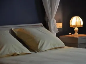 B&B Knotwilgenhoeve - Image 2