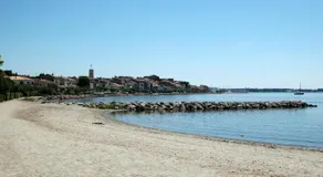 L'Hippocampe - Image 4