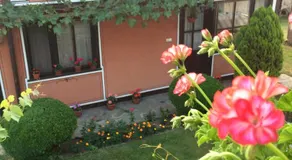 Dona Guest House - Horse Riding - Image 5