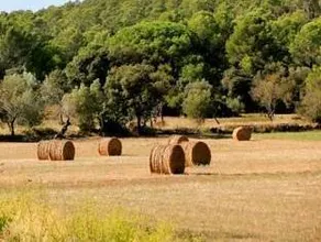 Can Barrull-Costa Brava-Emporda - Image 3