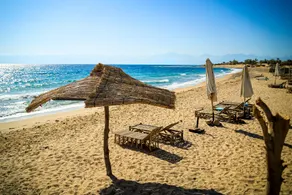 Habiba Beach Lodge - Image 5